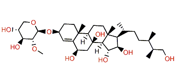 22,23-Dihydroechinasteroside A